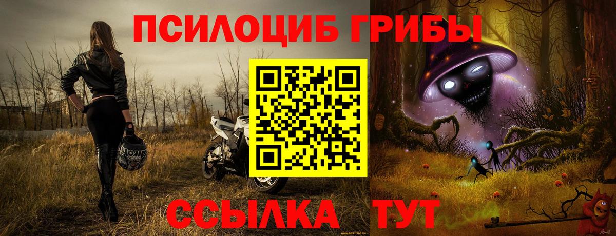 Галлюциногенные грибы GOLDEN TEACHER Новомосковск