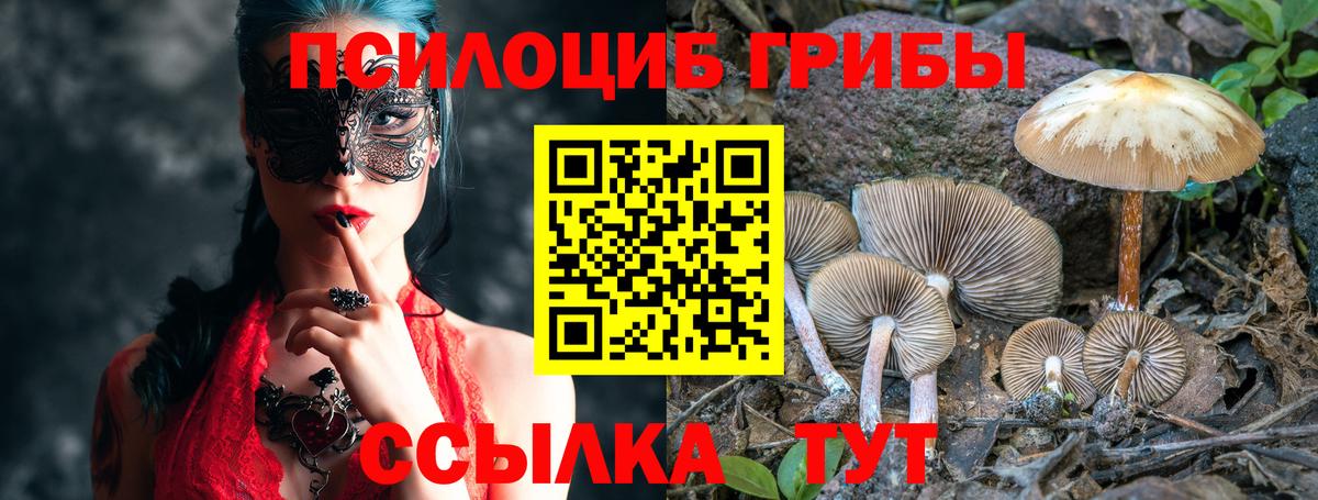 Новомосковск  Псилоцибиновые грибы мицелий  дарнет шоп  Вход с VPN 